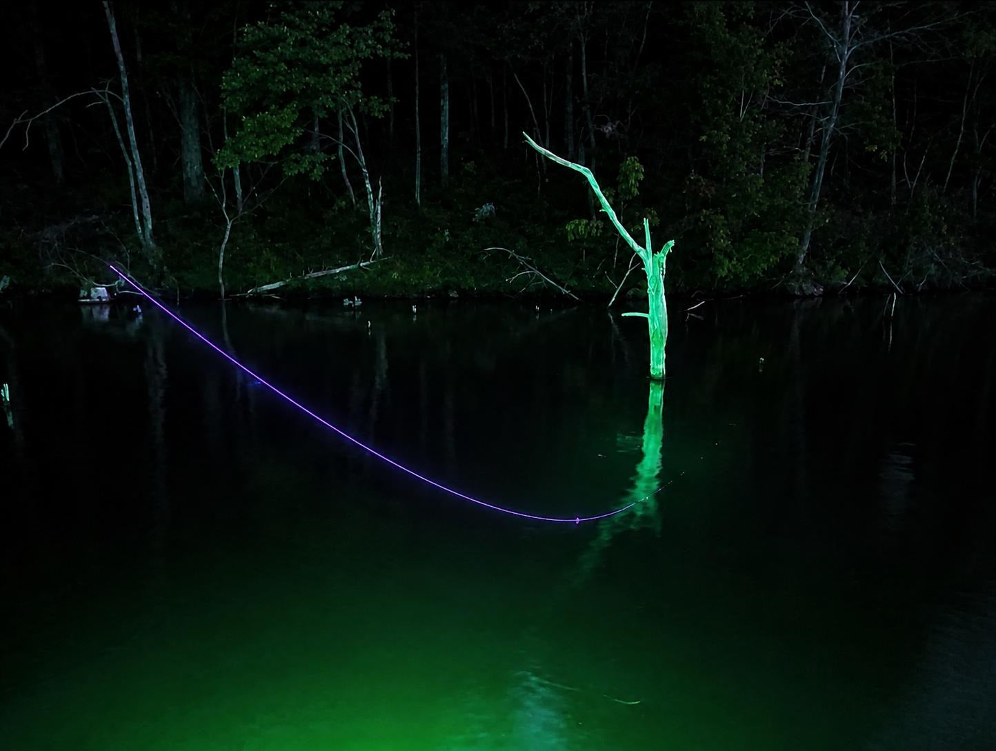 UV and Green LED Marine Lights for Bass Boats