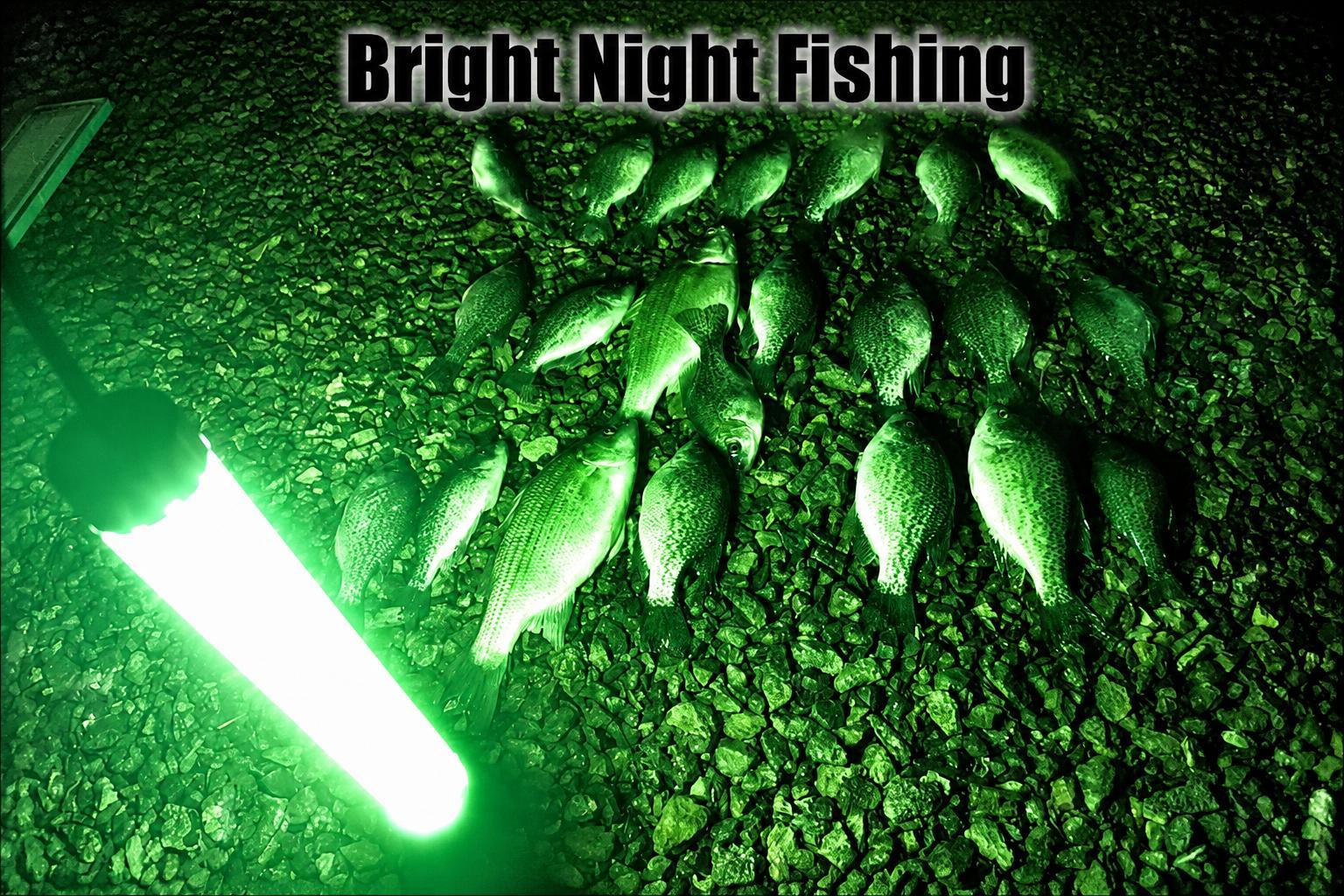 Underwater Battery Clamp Drop Light  300 LED Marine Light 15000 Lumen Dock